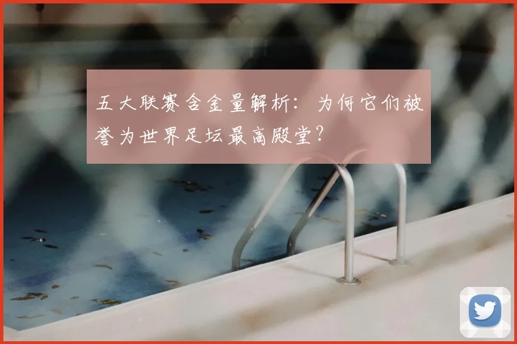 五大联赛含金量解析:为何它们被誉为世界足坛最高殿堂?